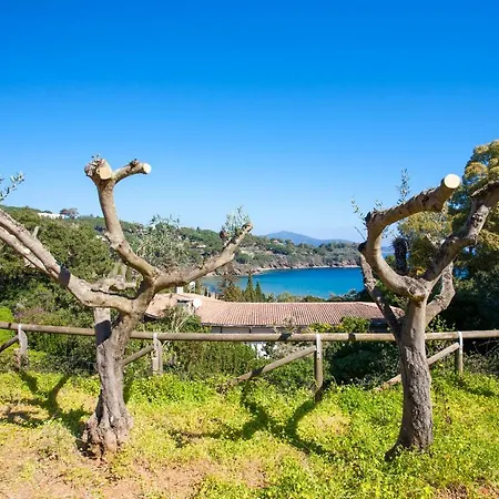 Appartamento Residenza Il Gabbiano Capoliveri (Isola d'Elba)