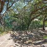 Residenza Il Gabbiano